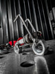 Cycle Nut