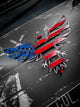 American Eagle Flag